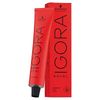 Schwarzkopf Igora Royal #8-77 Light Blonde Copper Extra, 2.1 oz