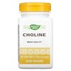 Natures Way 500Mg 100 Tb Choline, 100 CT