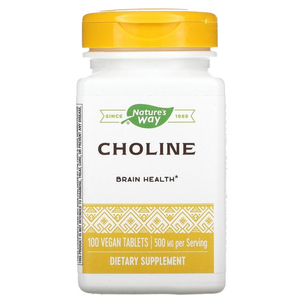 Natures Way 500Mg 100 Tb Choline, 100 CT