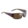 bollé King Sunglasses Matte Tortoise Large Unisex