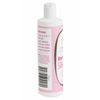 Groomer Essential Berry Clean Dog Shampoo (16 oz)