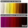 Headshot Hair Colour Bizarre Burgundy 150 ml