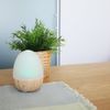 Aroma Diffuser – Real Wood – Mo – ad001 W