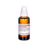 Senecio aureus D6 DHU Dilution, 50 ml Lösung