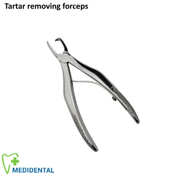 Veterinary instruments Tartar Removing Forceps easy removal of heavy calculus