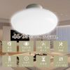 LED Ceiling Light, 10 W, 2,000 lm, App Control, Remote Control, Includes Remote Control, Color Temperature Adjustment, Brightness Adjustment, Easy Installation, Bluetooth Compatible, Eye-friendly, LED
