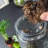 DIY Medium Open and Closed Terrarium Kit (Terracotta Pebbles)