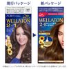 Wellaton 2+1 Liquid Type Hair Dye (Non-Pharmaceutical)