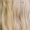 Freewill Blonde Preserve Conditioner, 8.5 oz