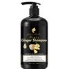 Mintz Ginger Shampoo
