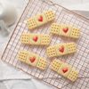 Plaster Cookie Cutter, 1 Piece. Bakerlogy