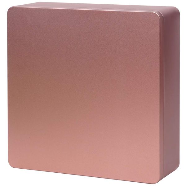 Tianhui Food Storage Containers Tin Box Kitchen Pantry Organization Metal Box, Rose Gold, Square