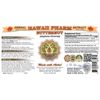 Butternut (Juglans Cinerea) Liquid Extract 4 Oz (120ml)