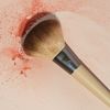 EcoTools Precision Blush Multiligual
