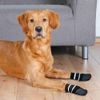 Trixie Non-Slip Socks for Dog, Black, Small/Medium