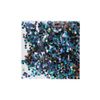 Pika Ace Nail Powder Holo Glitter #841 Silver 1g