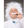 Mens Crazy Mad Scientist White Einstein Wig and Moustache