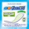 Charmnap Absorbent and Smooth Deodorization, No Feathers, 0.1 fl oz (3 cc), 6.9 inches (17.5 cm), 68 Pieces (Orimono & Moisture Care, Urine, Absorbent Liner, Urinary Leak Liner, Panty Liner Size, For Light Urine Leak