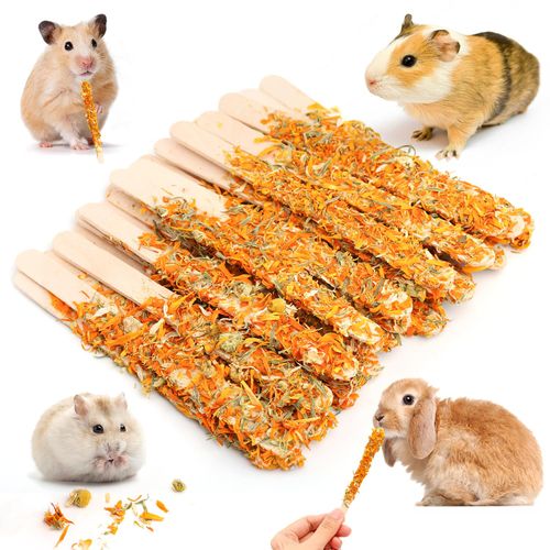 Abizoo Bunny Chew Toys for Rabbit,24PCS Natural Hamster Wood Treats with Teeth Guinea Pig Chews for Molar Chinchilla Gerbil Rabbit Squirrel Hamster Bunny and Other Small Animals