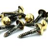 4 x Mirror Screws 25mm 1" with Brass Dome Head