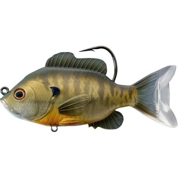 Live Target LiveTarget SFS110MS562 Sunfish -, Multicolor
