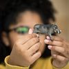 Schleich 14843 Wildlife Warthog Figure
