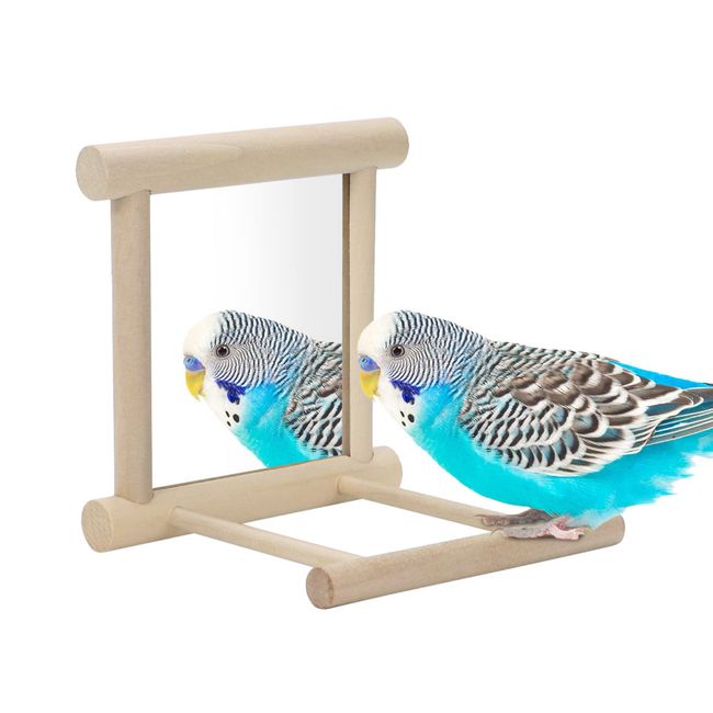 Wontee Bird Mirror with Perch Bird Toys for Parrots Budgies Parakeets Cockatiels Lovebirds Finches Canaries