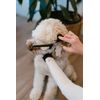 ScissorComb Tool - Hair Cutting Scissors with Comb Attached