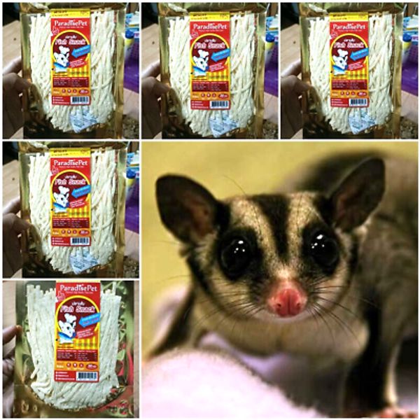 6x Sugar Glide Pet Paradise Fish Protein Snack Hamster Rodent Animals Teeth 120g