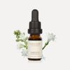 VAUCLUSE Tuberose Essential Oil 10ml - Opulent Sweet & Exotic Aroma for Diffuser