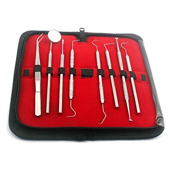 PRECISE CANADA: Dental Tools KIT, 8 Pack Dental Toolkit for Home