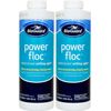 BioGuard PowerFloc 32 oz Clears Cloudy Water Fast, Pool Water Enhancer (2 Pack)
