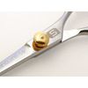 Professional Hair Scissors, Hairdressing Scissors 6.5 inch, Barber Shears + Presentation Case
