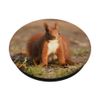 Squirrel PopSockets Extendable Base and Grip for Smartphones and Tablets