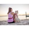 EzyDog Road Runner Dog Leash (Purple)