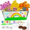Miracle GRO Paint and Plant My First Flower Growing Kit