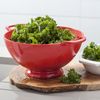 Zeal G211R Melamine Colander/Strainer (24cm) -Red