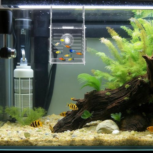 Acrylic Fish Breeding Box, Breeder Box for Fish Tank Clear Nursery Isolation Tank for Aquarium 3.9 Inches Square Fishes Separation Breeder Boxes with Suction Cups for Baby Fishes Shrimp Clownfish