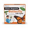 Learning Resources Butterfly Life Cycle, 9 Write and Wipe Pieces, Classroom Accessories, Teaching Aids, Ages 5+