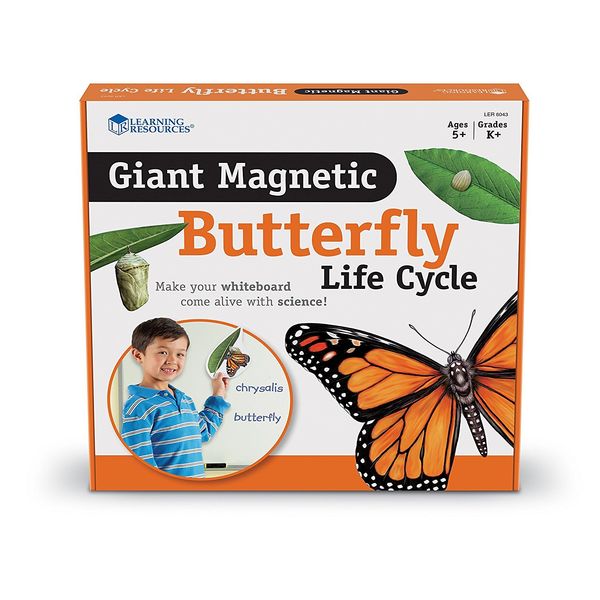 Learning Resources Butterfly Life Cycle, 9 Write and Wipe Pieces, Classroom Accessories, Teaching Aids, Ages 5+