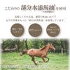 Medicated horse oil formulation cream 70g *AF27*
