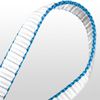 Dmm 11mm 135cm Dyneema Daisy Chain - BLue
