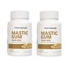 2 Pack  VitaCosmoX Mastic Gum 1000mg per Serving Support Digestive Func 240 caps