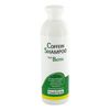 Avitale Caffeine Shampoo + Biotin, Pack of 1 (1 x 250 ml)