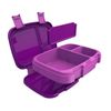 NAEM Benttgo Fresh Lunch Box Bundle 2 Pack (Purple & Mint, M)