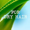 Maui Moisture Conditioner for Dry Hair, Coconut Milk & Aloe Vera, 385 ml