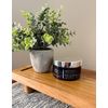 Monat Replenish Masque New 5 fl oz