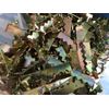 Nail-less 2" Brass Sawtooth Picture Frame Hangers - 100/pkg