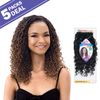 FreeTress Crochet Braids Boho Hippie Loc 12" (5-pack, 2)