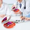 Orthodontic Retainer Case with Mirror, Aligner Case -White
